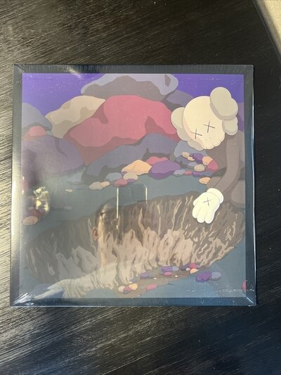 Snoop Doggy Dogg DoggyStyle by KAWS Gallery Picture LP VINYL Limited - IN HAND!