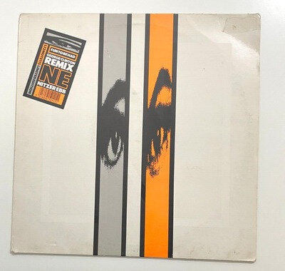 Nitzer Ebb – Fun To Be Had (George Clinton Remix) - 12" Vinyl EP