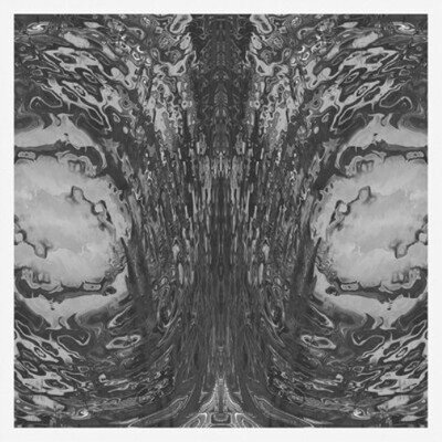 Necro Deathmort The Capsule (Vinyl) 12" Album