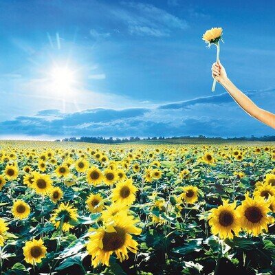 Stone Temple Pilots Thank You (Vinyl) 12" Album Coloured Vinyl (Limited Edition)