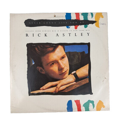 Rick Astley Never Gonna Give You Up 12" Vinyl 1987 UK RCA PT41448R 1st EX VG