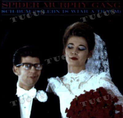Spider Murphy Gang - Sch-Bum ('S Lebn Is Wiar A Traum) 7" (VG+/VG+) '*