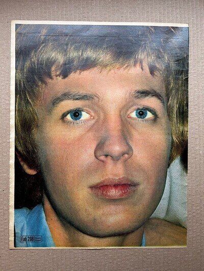 WALKER BROTHERS SCOTT ENGEL FAB 208 VINTAGE PIN UP POSTER SIZED original FAB 208