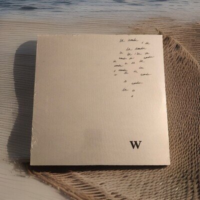 Shawn Mendes Wonder 12” Single Limited UO Clear Vinyl LP Sealed Mint