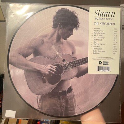 Shawn Mendes Shawn Picture Disc