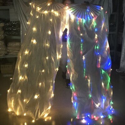 Belly Dance Polyester Fan Veils Silk LED Light Show Performance Dance Costumes