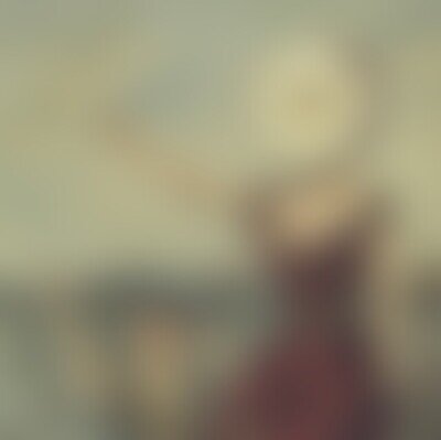 Neutral Milk Hotel In The Aeroplane Over The Sea 180 Gram Vinyl LP & Download