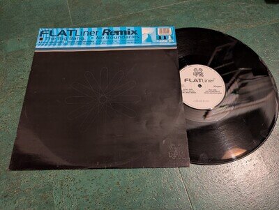 Flatliner Remix The Big Bang Vinyl Drum Bass 12" Jungle RAM Records 1995 EX