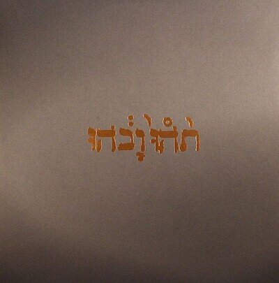 GODSPEED YOU BLACK EMPEROR - Slow Riot For New Zero Kanada EP - Vinyl (LP)