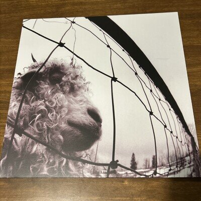 Pearl Jam Vs. Remastered Vinyl Record 2011 180g EUR Ex/NM