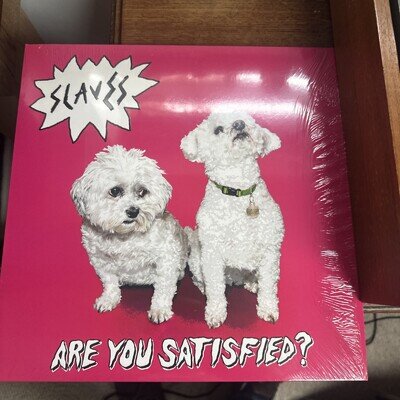 Slaves - Are You Satisfied? - 12" Vinyl Record Album LP 2015 Original 1st Press
