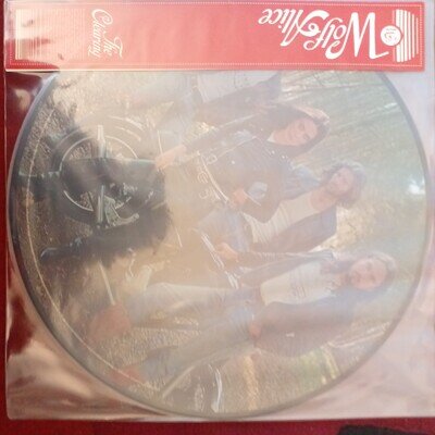 Wolf Alice -The Clearing Exclusive Picture Disc Vinyl Record LP Mint