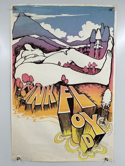 Pink Floyd Poster Roger Waters Orig Vintage David Arnott Design Circa Early 70s