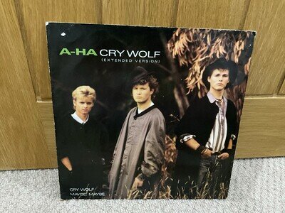 Vintage A-Ha Vinyl 12” Extended Version Of Classic Pop Hit Cry wolf