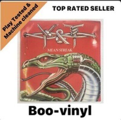 Y & T - Mean Streak 7” Vinyl Record Hard Rock EX / EX Condition