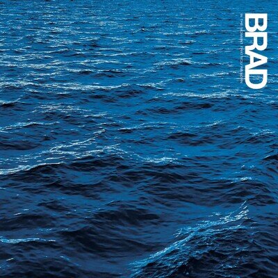Brad In the Moment That You're Born (Vinyl)