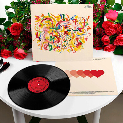 Ty Segall | Love Rudiments | Black Vinyl LP