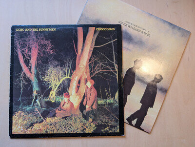Echo And The Bunnymen - Crocodiles - Songs To Learn & Sing - Vinyl lot