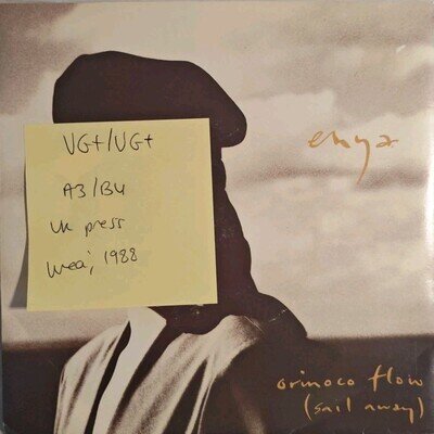 Enya Orinoco Flow (Sail Away) Vinyl Record VG+/VG+ YZ312T 1988
