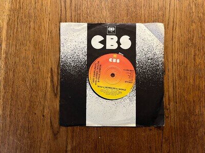 Art Garfunkel, James Taylor & Paul Simon - What A Wonderful World (1978) 7" VG+