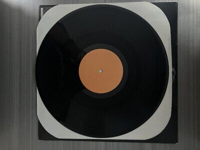 MORE: GEORGE THOROGOOD & DESTROYERS LP US Rounder RARE BLANK LABEL MISPRINT !