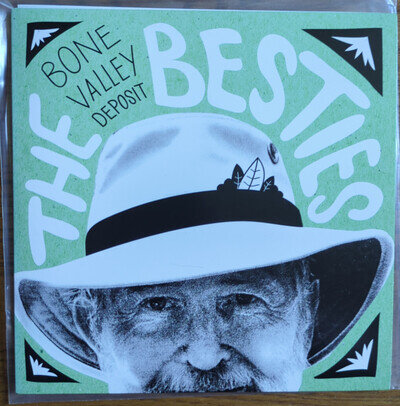 The Besties ‎– Bone Valley Deposit 7"