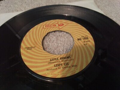 Leapy Lee Little Arrows 7" See Video