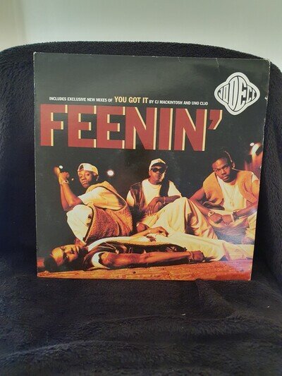 12 IN SINGLE JODECI/FEENIN