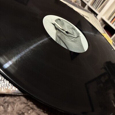 Dirt Style records Skratchy Seal - Sealed Breaks, 12", (Vinyl)