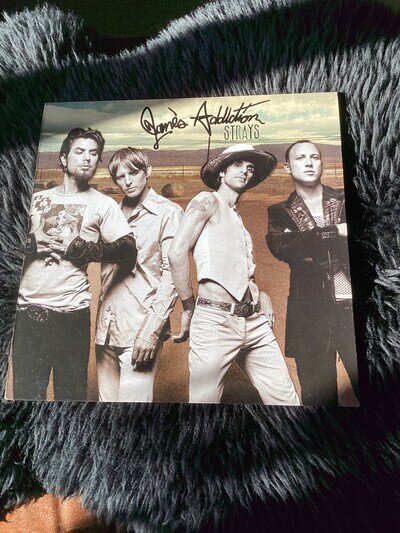 VINYL Jane's Addiction Strays *first press* Mint Condition 2003