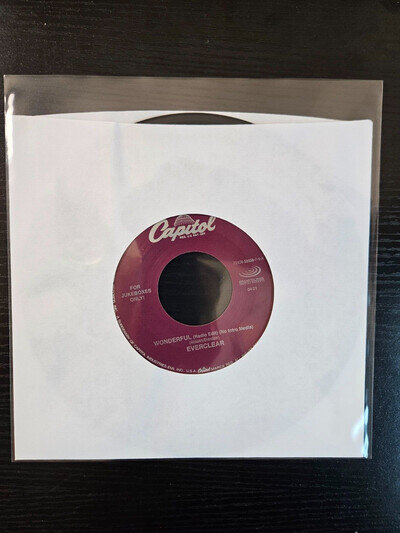 Everclear, Wonderful / Unemployed Boyfriend, 7" 45rpm, Vinyl