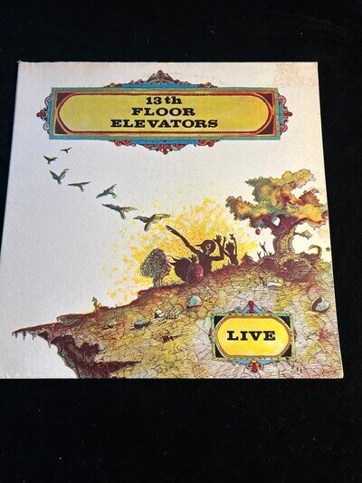 13th Floor Elevators - Live IALP #8 USA 1968