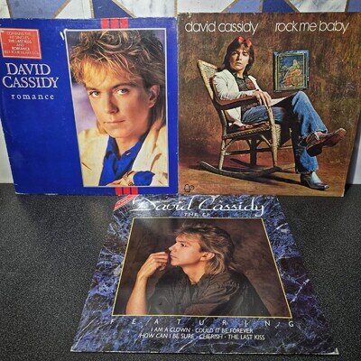 David Cassidy - Bundle of 3 x 12" Original LP Vinyls
