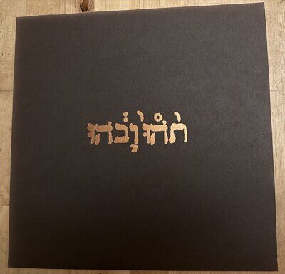 Godspeed You! Black Emperor : Slow Riot for New Zero Kanada VINYL 12" Album
