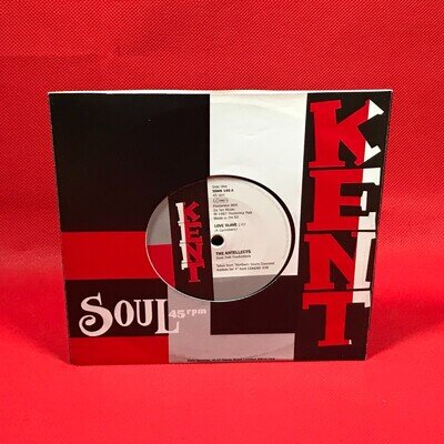 THE ANTELLECTS Love Slave 2011 7" vinyl single Your Love Is What I Want Ravins