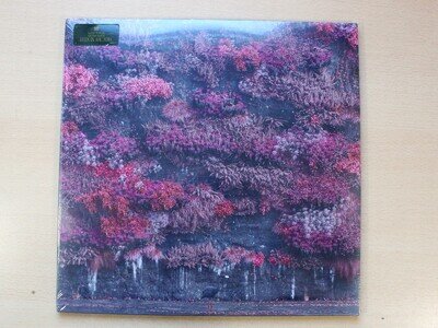 Sleep Token/Even In Arcadia/2025 RCA 2x LP Set/New/MINT/Sealed