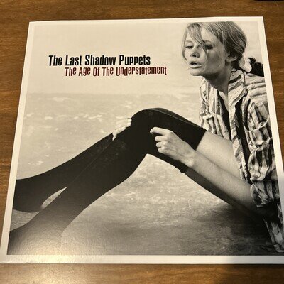 The Last Shadow Puppets - the Age of the Understatement - Vinyl Album
