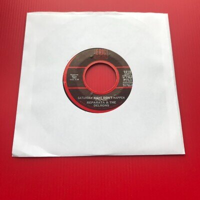 REPARATA & THE DELRONS Saturday Night Didn't Happen 1981 7" vinyl single Panic