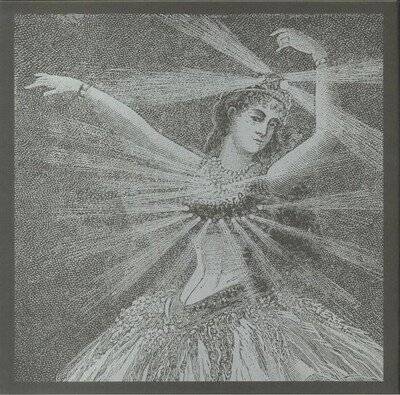 NEUTRAL MILK HOTEL - The Collected Works Of Neutral Milk Hotel - Vinyl (LP box)