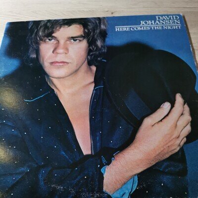 David Johansen From New York Dolls – Here Comes The Night - 1981 - Vinyl LP