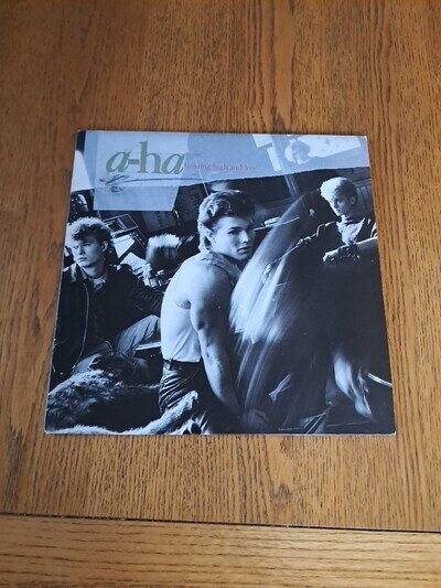 A-HA HUNTING HIGH AND LOW VINYL CG N06