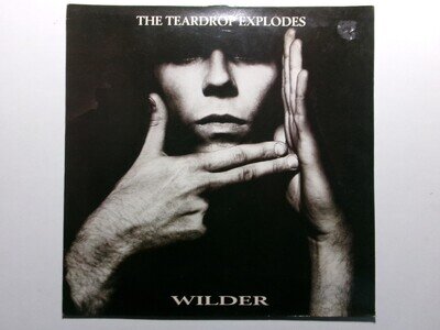 THE TEARDROP EXPLODES WILDER FONTANA 836 896-1 JULIAN COPE NEW WAVE PSYCH