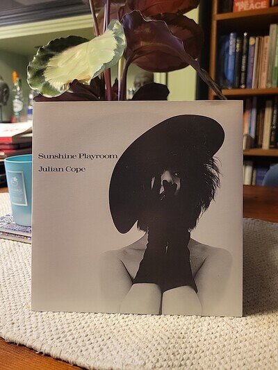 Julian Cope Sunshine Playroom 7" vinyl UK Mercury 1983 pic sleeve COPE1