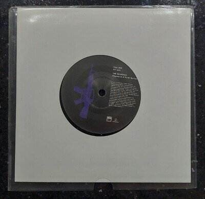 The Ramones / Yeah Yeah Yeahs - Sheena Is A Punk Rocker - EU Warchild 7" Single