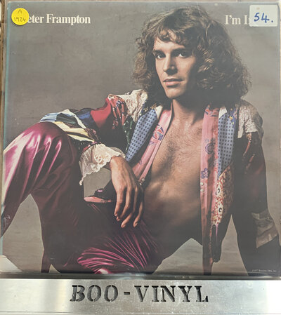 Peter Frampton I'm In You 1977 [AMLK64704] 12" Vinyl Rock VG+ / VG+ Con