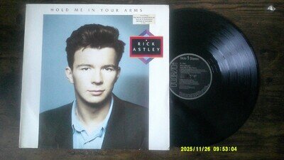 Rick Astley - Hold Me In Your Arms - Vinyl LP.