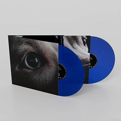 Waters Roger - The Dark Side Of The Moon Redux - 2 x BLUE VINYL- Near Mint
