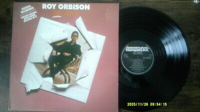 Roy Orbison - Rare Orbison - Vinyl LP.