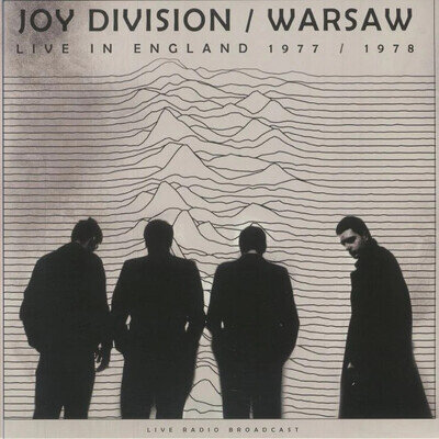 Joy Division | Live In England 1977/1978 | Vinyl LP - Grey /