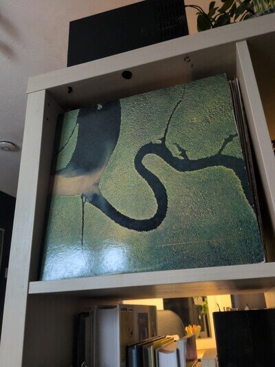 Vtg 1988 DEAD CAN DANCE Album THE SERPENT'S EGG Vinyl 1ST PRESS Lp